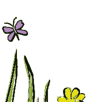 Gras butterfly